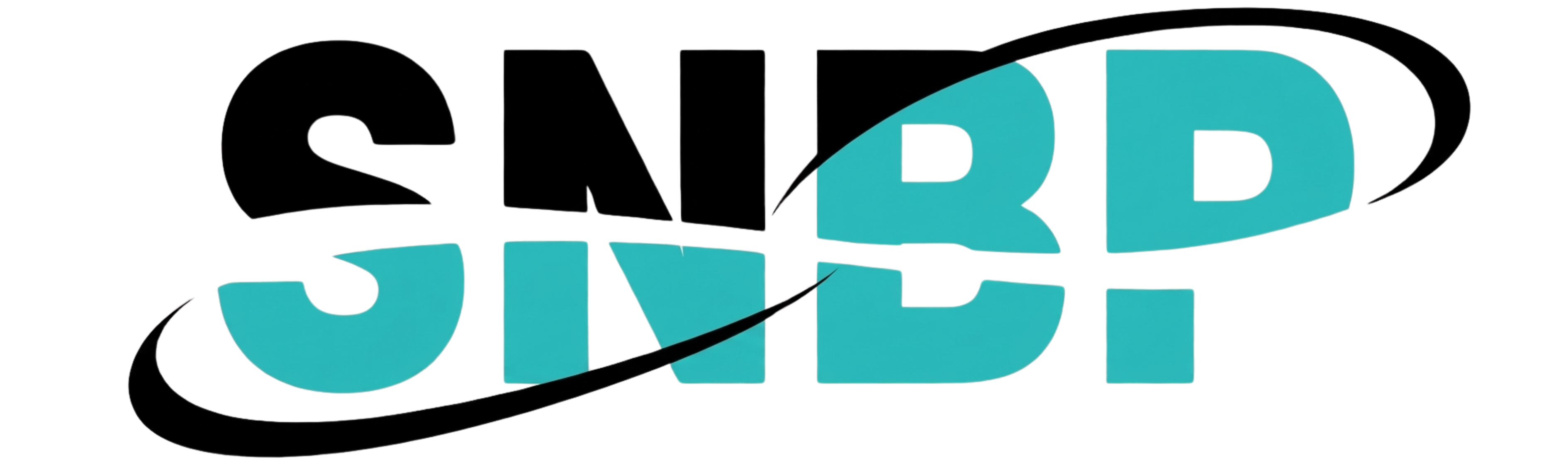 Logo SNBP